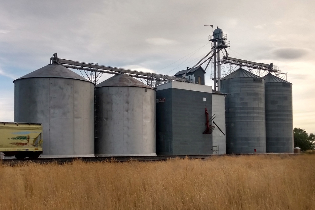 Grain plant